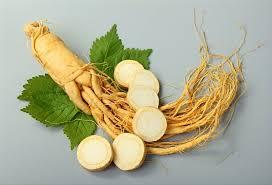 GINSENG BRASILEIRO (Pfaffia paniculata)