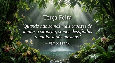 Imagem do dia