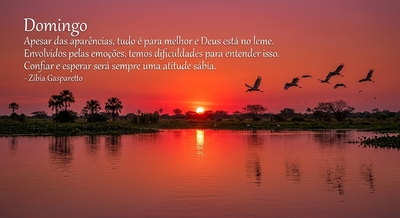 Imagem do dia